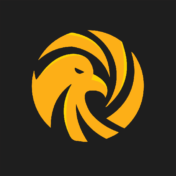 Falcon Eye Corporation-logo